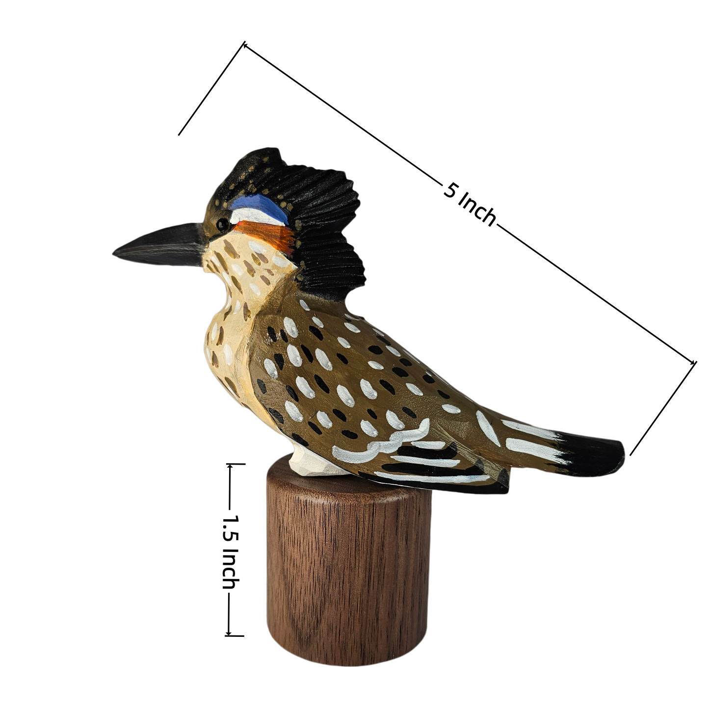 A carved wooden Greater Roadrunner figurine on a cylindrical wooden base, shown with dimension lines indicating 5 inch length and 1.5 inch height on a plain white background.