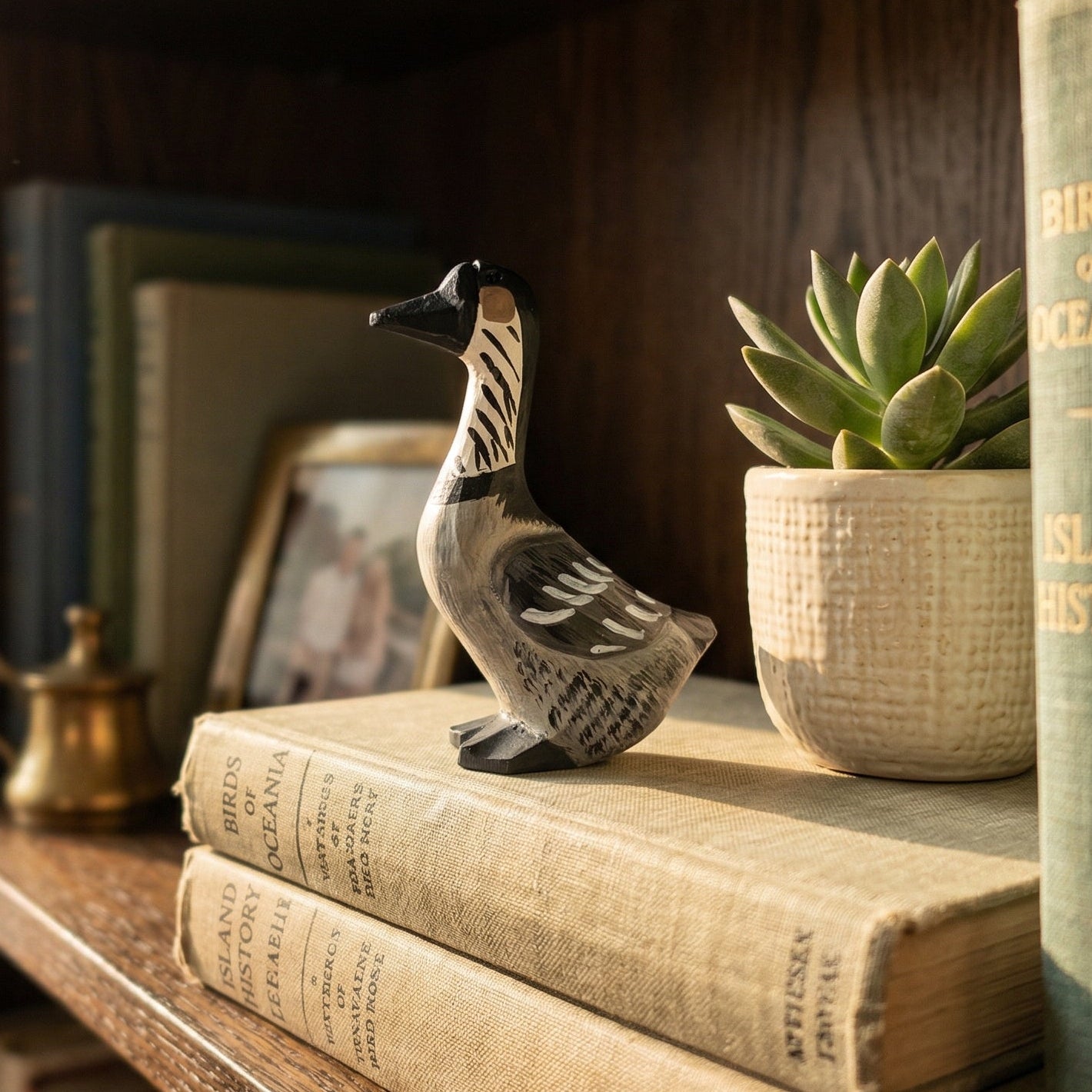 A decorative carved duck figurine displayed on a wooden bookshelf alongside vintage books, a small potted succulent, and a brass teapot.