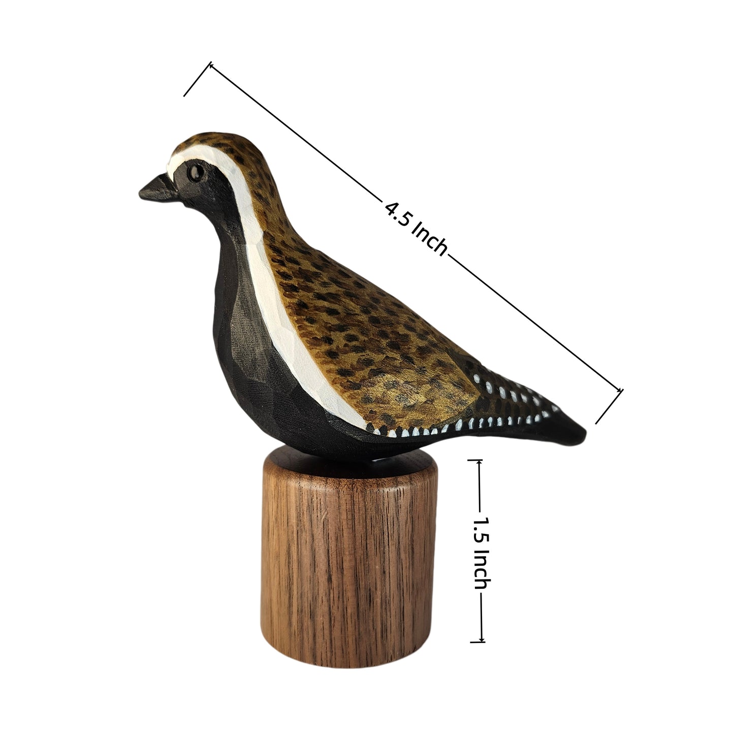 Size and dimension diagram of the hand-carved Pacific Golden Plover wooden bird figurine, showing a 4.5-inch bird length and a 1.5-inch black walnut base height.