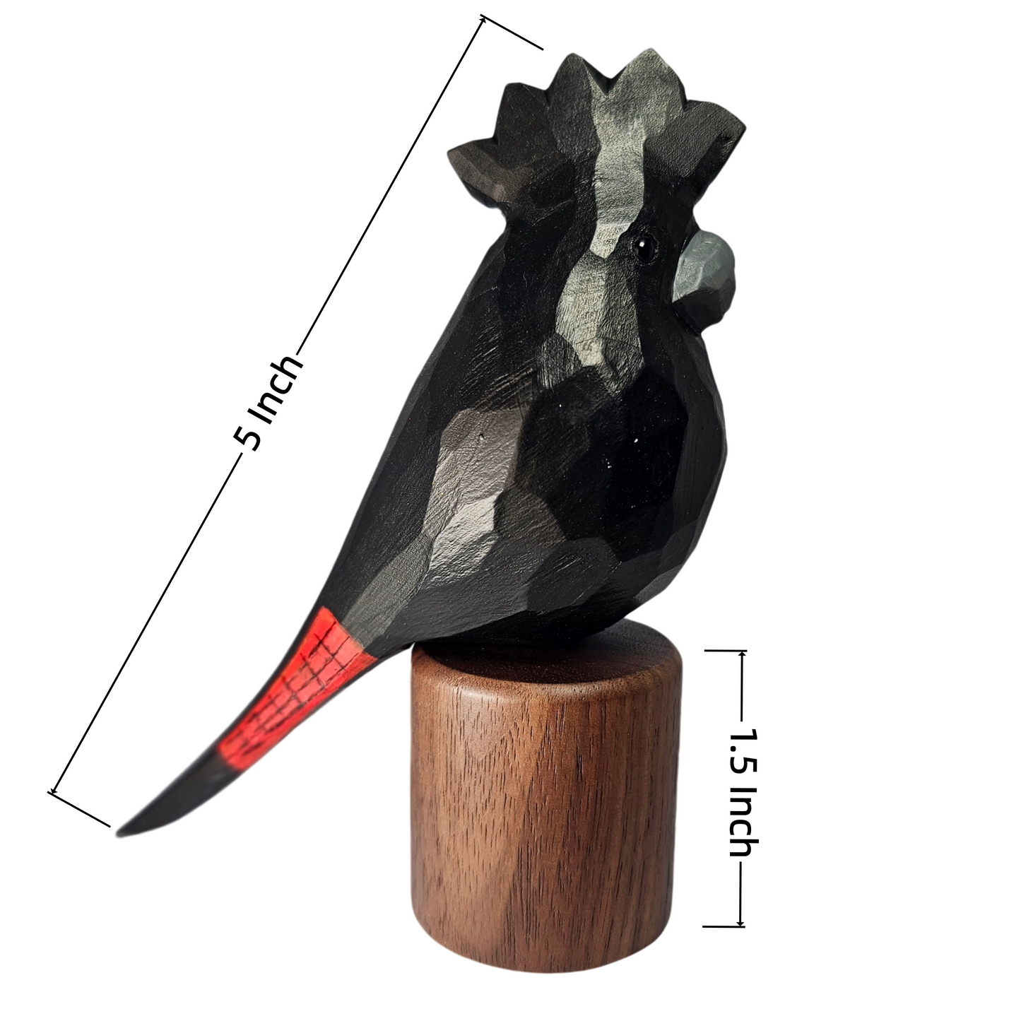 A carved wooden Red-tailed Black Cockatoo  sculpture on a cylindrical wooden base, shown with dimension lines indicating a total length of 5 inch and base height of 1.5 inch, on a plain white background.
