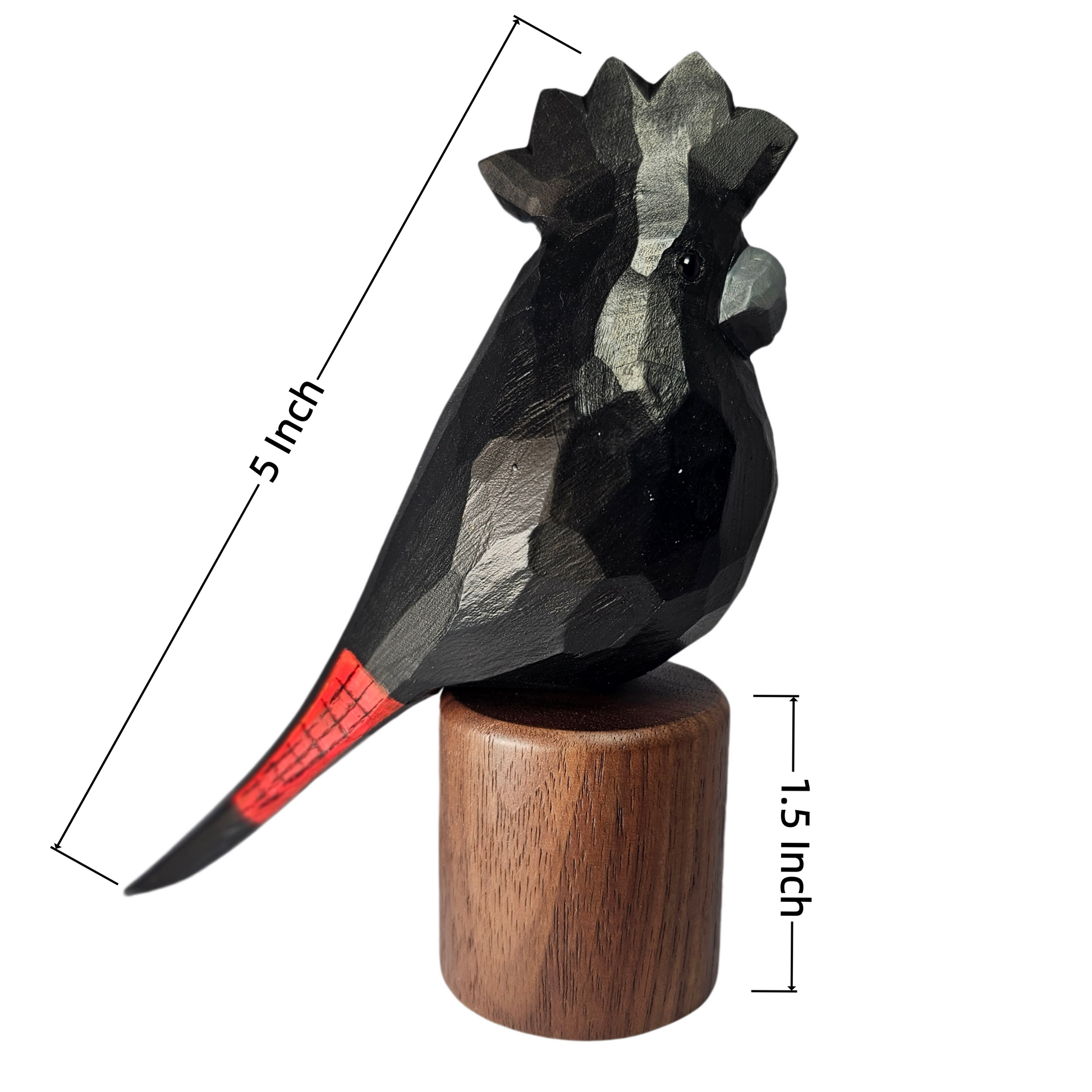 A carved wooden Red-tailed Black Cockatoo  sculpture on a cylindrical wooden base, shown with dimension lines indicating a total length of 5 inch and base height of 1.5 inch, on a plain white background.