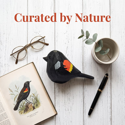 A styled flat-lay featuring a Red-winged blackbird-shaped object with red and orange feather details, arranged on a white wood background with an open book, eyeglasses, a small cup with eucalyptus, and a black pen. The text 'Curated by Nature' appears at the top.