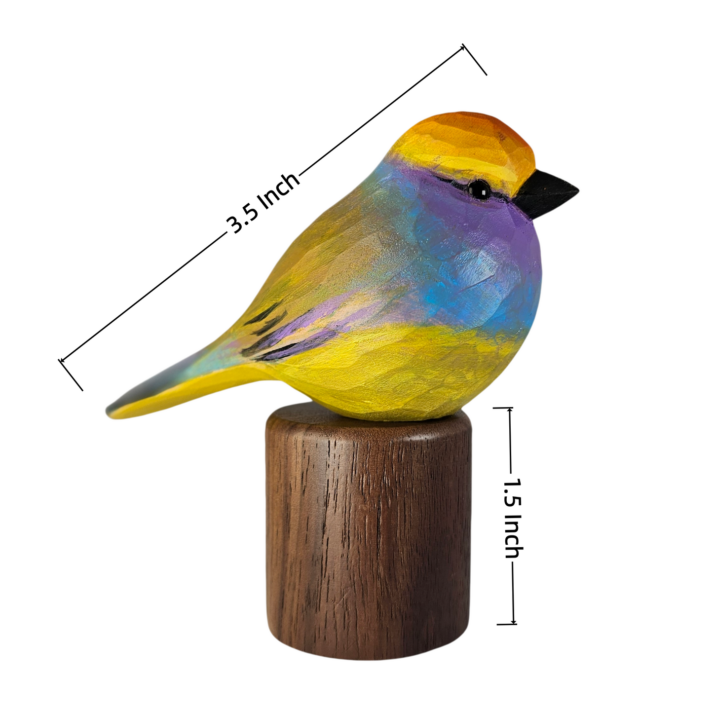 Size and dimension diagram of the hand-carved White-browed Tit-warbler wooden bird figurine, showing a 3.5-inch bird length and a 1.5-inch black walnut base height.